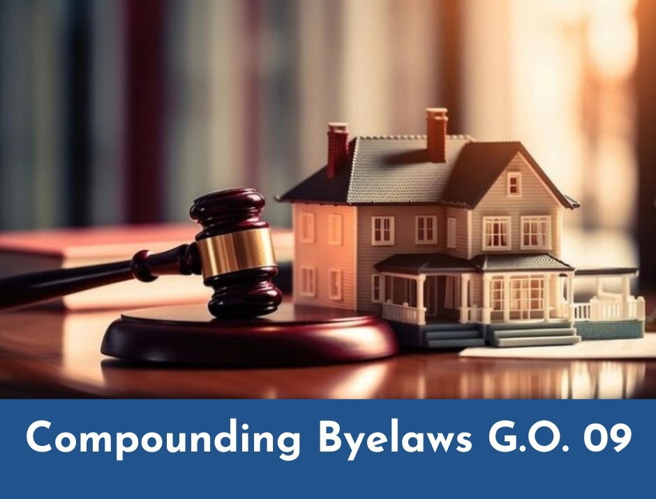 photo gallery slide4